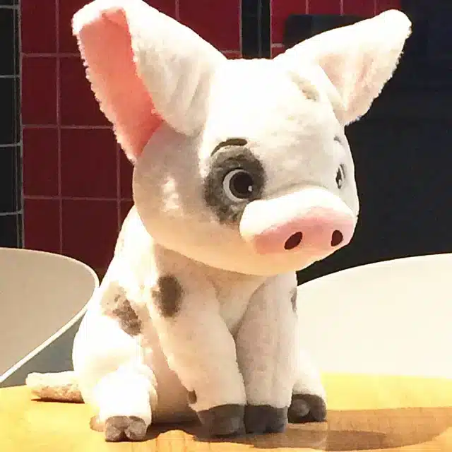 Peluche cochon viana assise sur table en bois