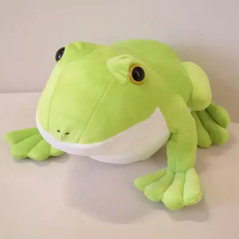 Grenouille peluche verte dans un fond blanc