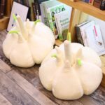 Deux peluches ailes par terre